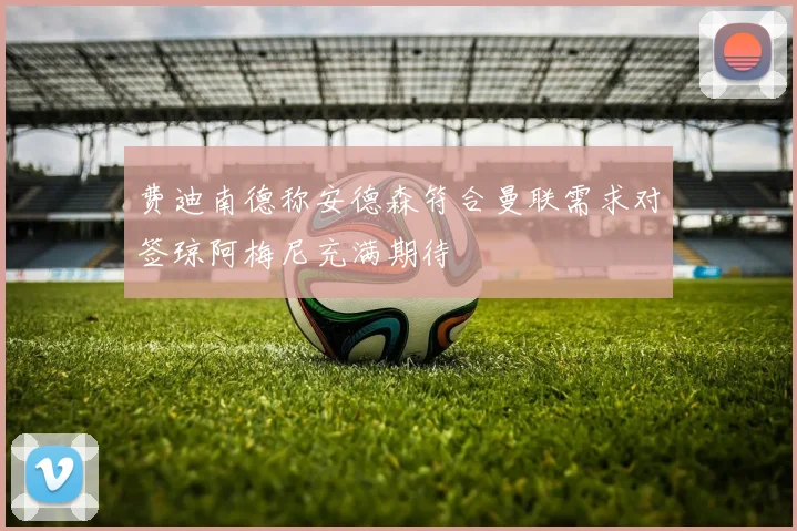 费迪南德称安德森符合曼联需求对签琼阿梅尼充满期待